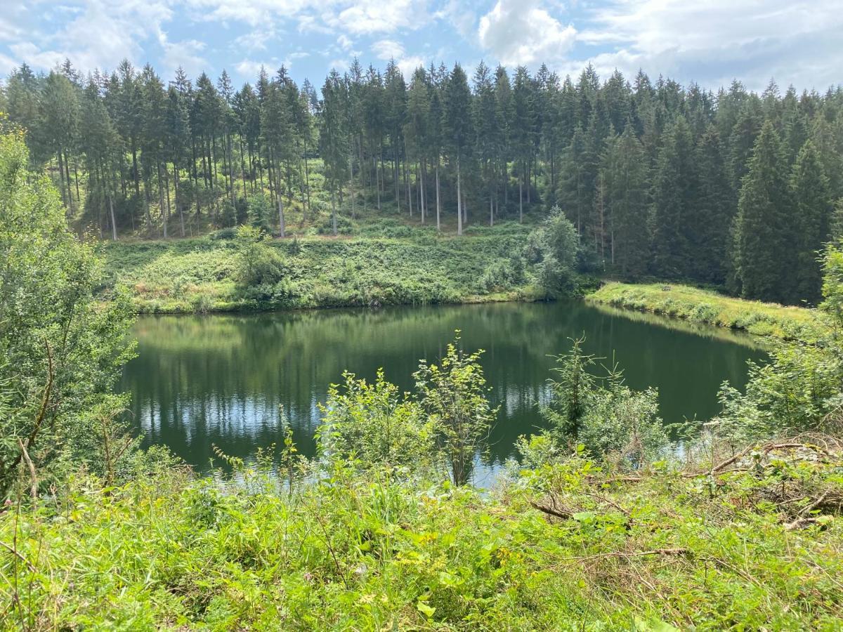Ferienwohnung Hohensee Eg Клаустал-Целерфелд Екстериор снимка